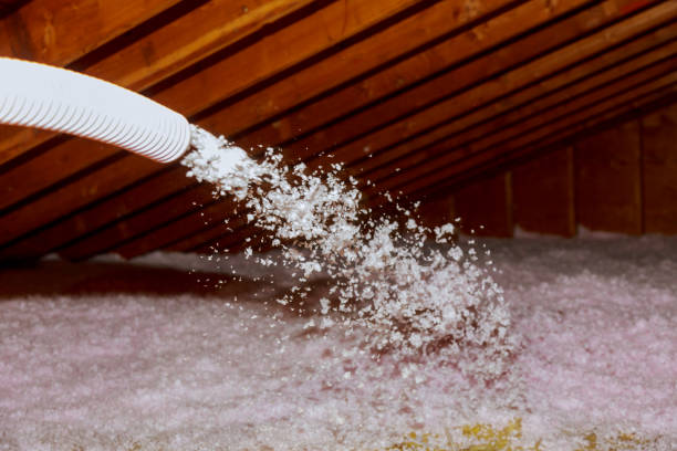 Best Insulation Maintenance and Repair in Mantachie, MS