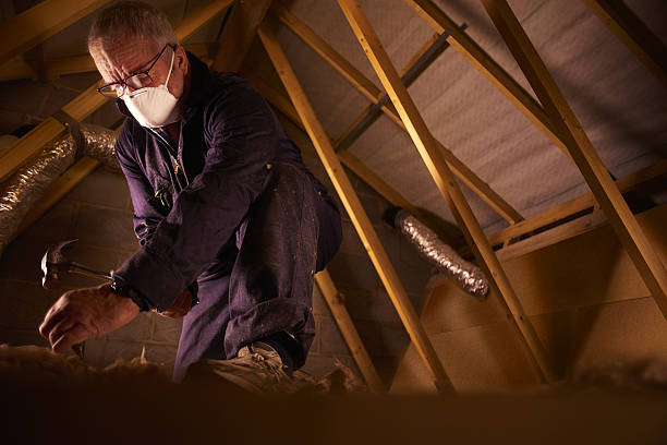 Best Residential Insulation in Mantachie, MS